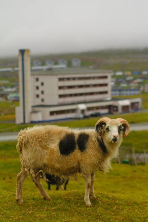 62N Guesthouse Marknagil Tórshavn Dış mekan fotoğraf